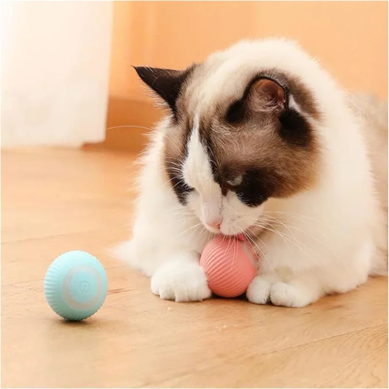 Smart Electronic Dog Toy Ball – Interactive Moving & Bouncing USB Rechargeable Ball for Puppies & Cats, Perfect Birthday Gift