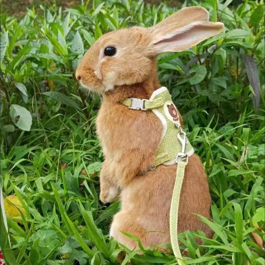 Cute Rabbit Harness & Leash Set – Soft Vest Harness for Bunnies, Perfect for Outdoor Walks & Adventures