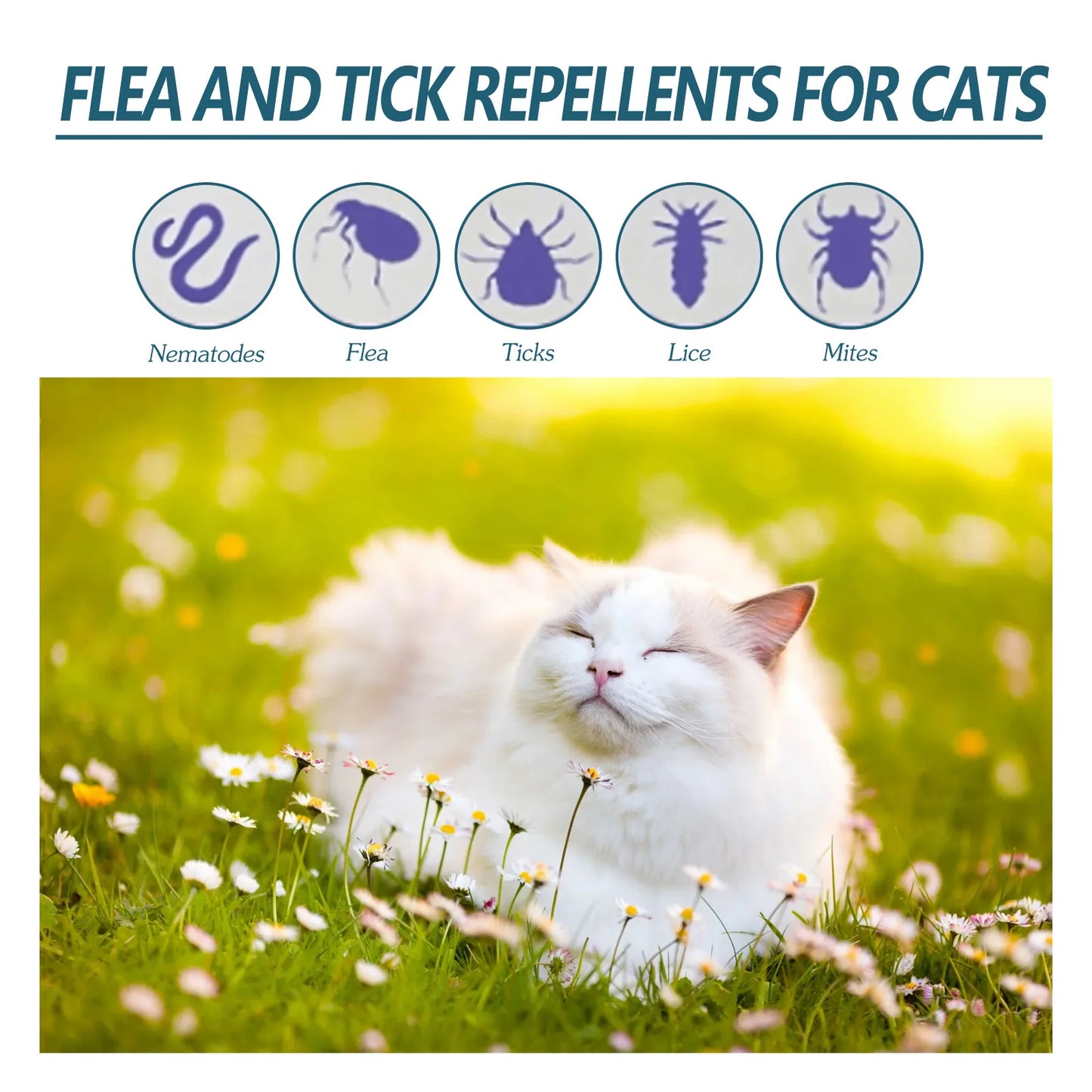 FleaGuard Pet Flea & Tick Killer Drops – Natural Relief for Cats & Dogs