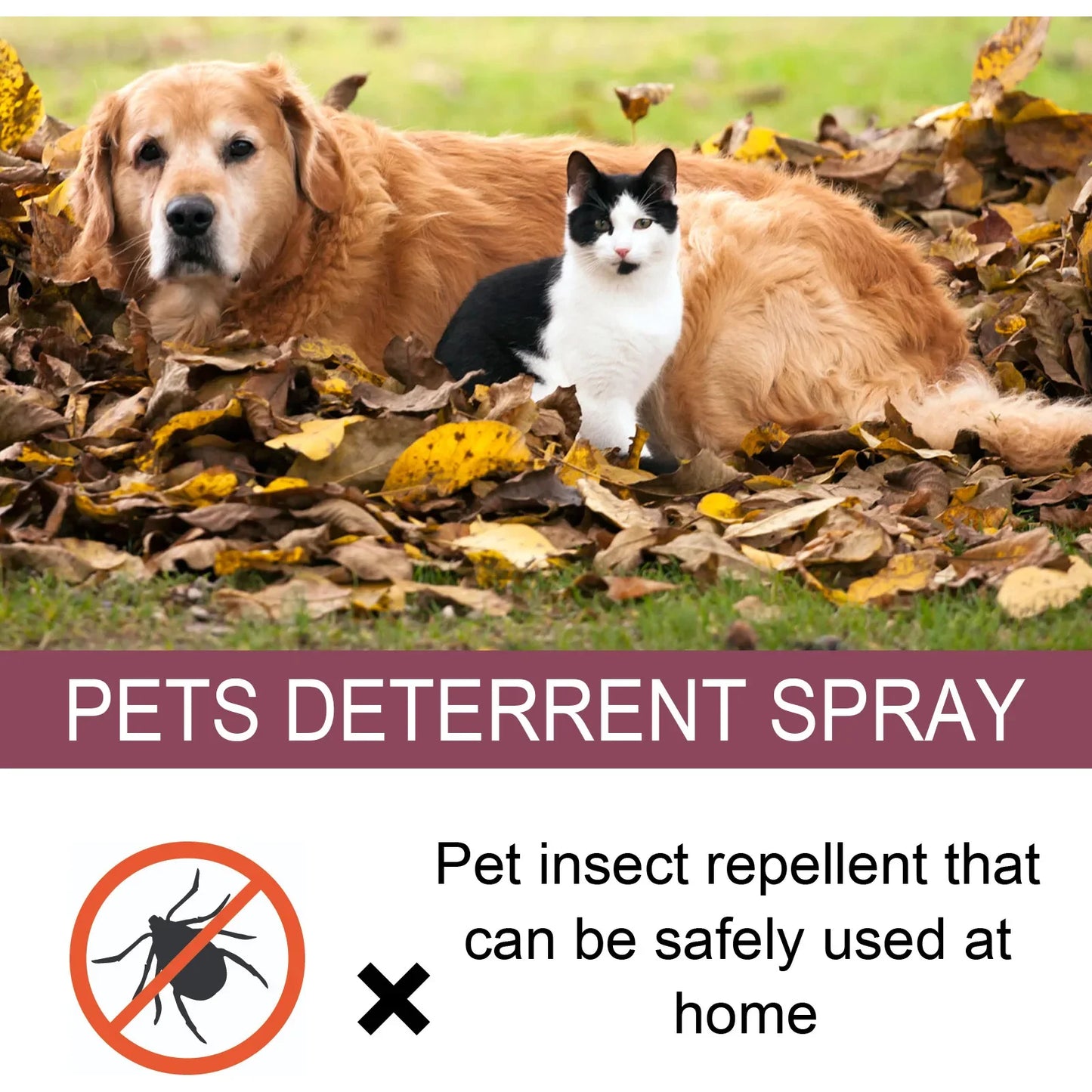 PawsSafe Flea & Tick Shield - Natural Pet Spray for Dogs, Cats, and Home