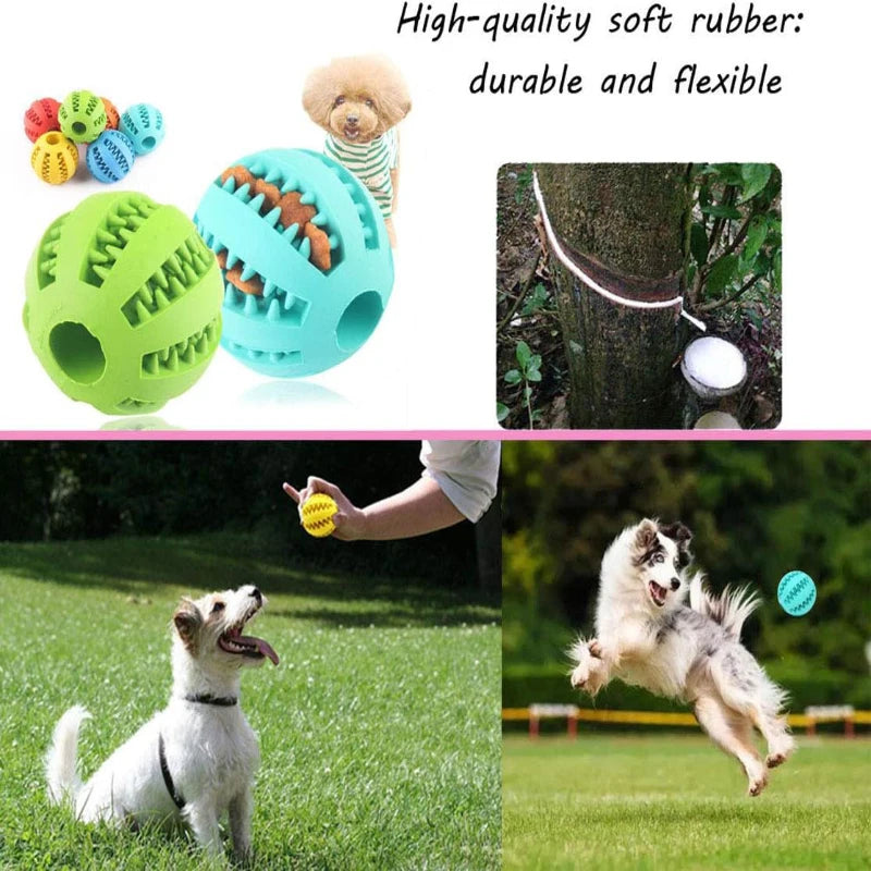 Interactive Dog Toy Ball – Rubber Chewing Toy for Puppies & Cats, Tooth Cleaning & Treat Feeder Silicone Bal