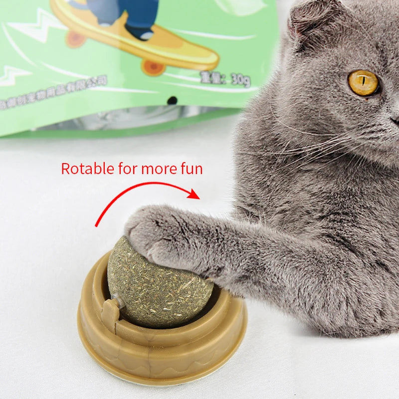 Premium Natural Catnip Wall-Mounted Ball Toy & Scratcher - Healthy Digestion & Fun Grass Snack for Cats