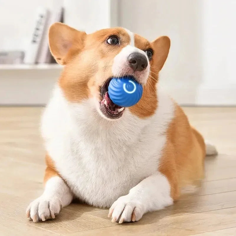 Smart Electronic Dog Toy Ball – Interactive Moving & Bouncing USB Rechargeable Ball for Puppies & Cats, Perfect Birthday Gift